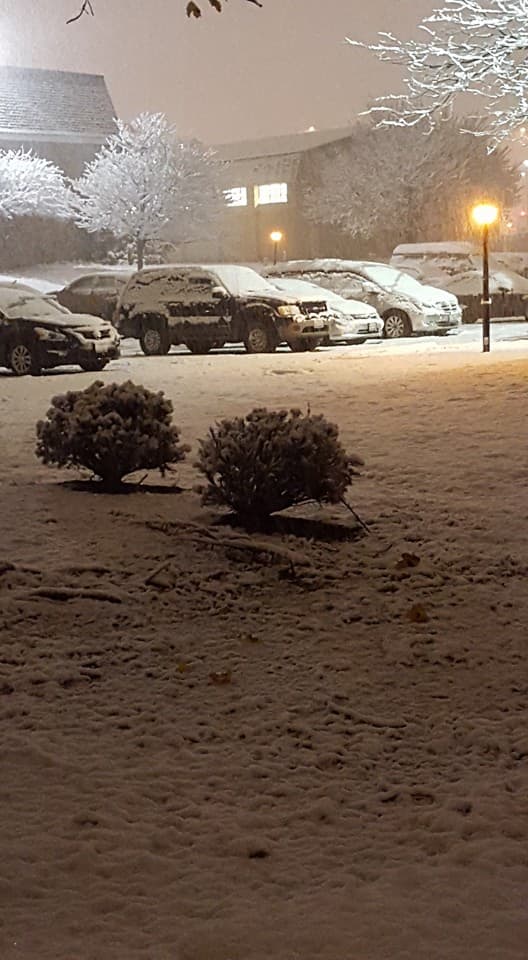 Usuarios comparten fotos de la primera tormenta invernal de la temporada en Chicago.