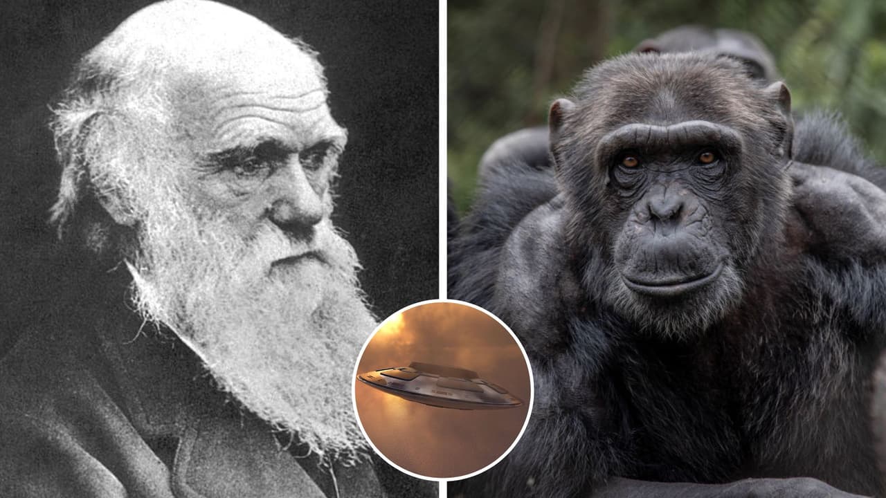 ¿No descendemos del mono? Loca teoría de TikTok dice que los humanos llegaron del espacio