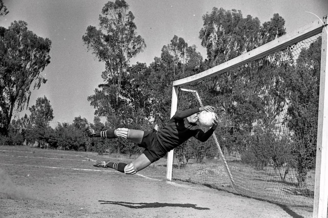 Ernesto Sota García, Isidoro Sota García y Jorge Sota García. Francisco Garza Gutiérrez y Rafael Garza Gutiérrez. Óscar Riquer y Guillermo Riquer. Luis Alberto Padilla Velasco y Esteve Gerardo Padilla Velasco.