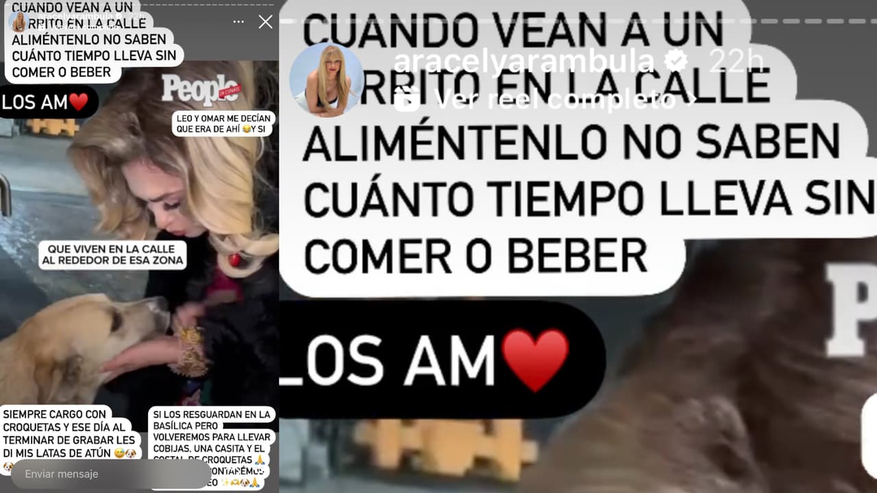 Aracely Arámbula hizo un llamado para no dejar desamparados a los perros que viven en la calle o están sin hogar fijo.