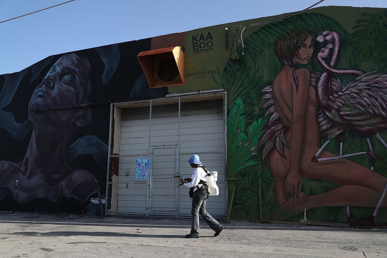 El virus del Zika causa sarpullido, dolor de cabeza y fiebre leve, pero puede ser mucho más peligroso si la infección ocurre durante el embarazo, pues se asocia a malformaciones congénitas en recién nacidos.