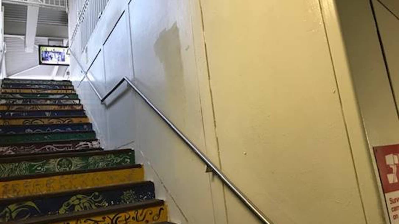 Murales blanqueados en estación de Pilsen.