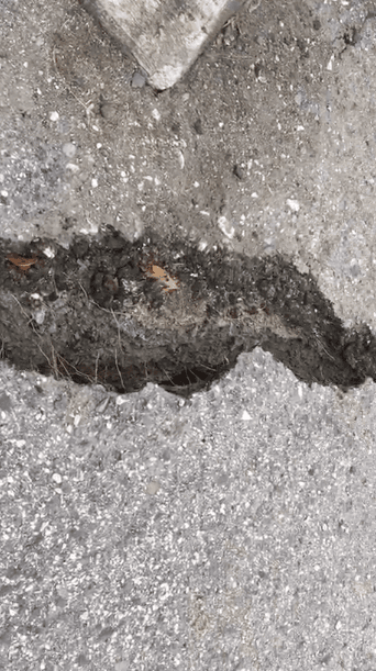 El paseo peatonal La Guacha tiene 30 años abierto y estiman que tardarán al menos dos años en recuperarlo completamente.