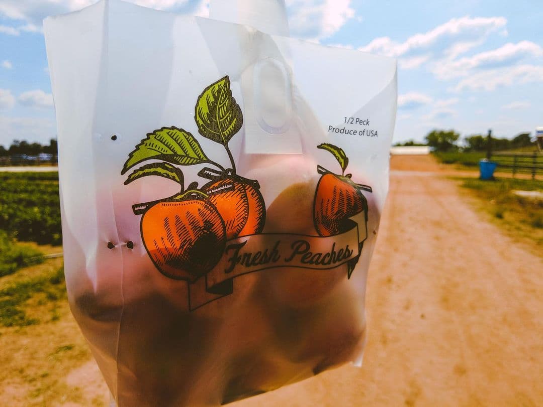 <b>Ve a comerte un durazno en las granjas locales.</b> El verano es el mejor momento para conseguirlos en granjas locales, los puestos de carretera y en los restaurantes. Hay muchas formas de disfrutar la fruta del estado, ya sea en tartas fritas, batidos, vino de melocotón, mermeladas o directamente del árbol.
<br>