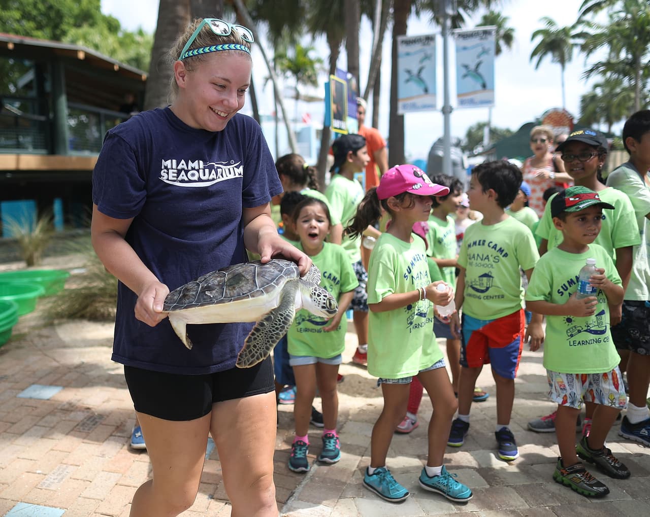 Luego de la remoción de anzuelos y cuidado, las tortugas alcanzaron su peso adecuado.