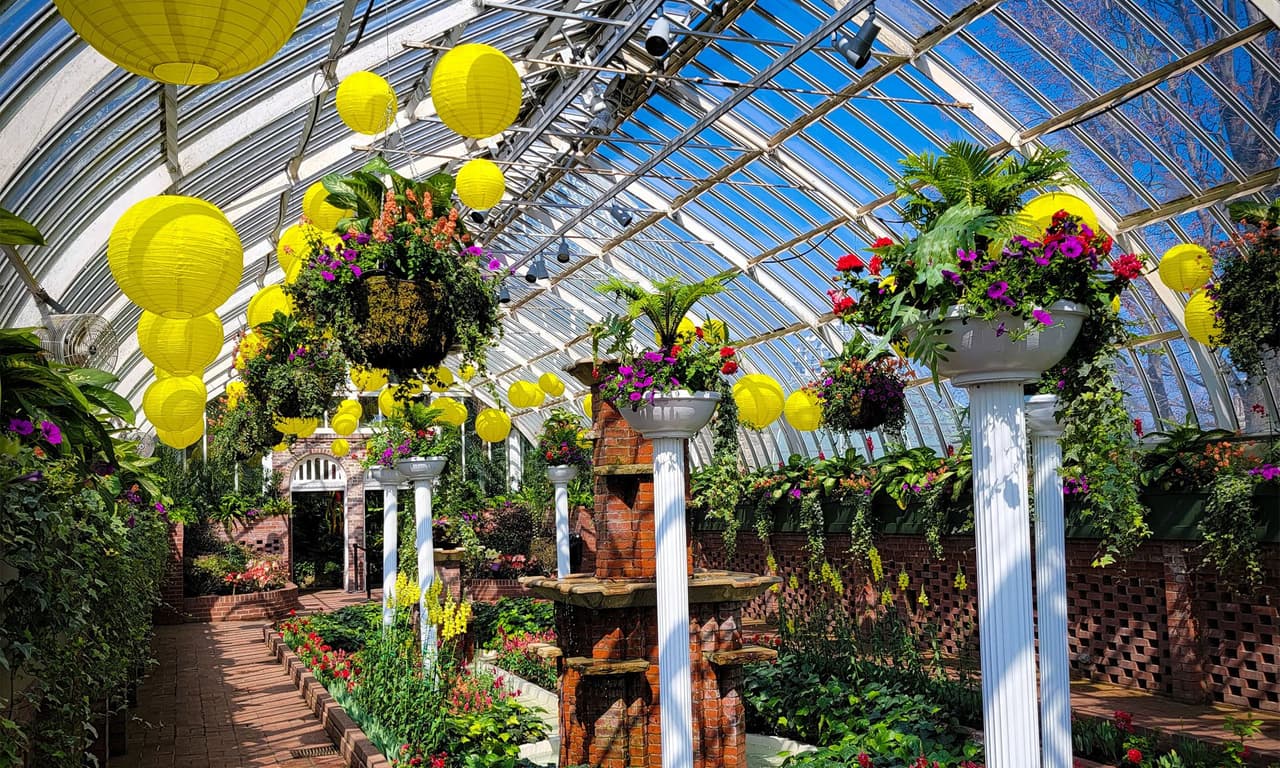 <b><a href="https://www.phipps.conservatory.org/">Phipps Conservatory and Botanical Gardens Inc. (Pittsburgh)</a></b>: El Phipps Conservatory and Botanical Gardens Inc. presenta exuberantes plantas tropicales, palmeras, orquídeas, helechos y plantas del desierto, así como muchos espectáculos especiales de flores, exhibiciones y mariposas. Los jardines y colecciones al aire libre incluyen Discovery Garden para niños, Japanese Courtyard Garden, bonsai, mariposas, plantas perennes, plantas anuales, hierbas y plantas acuáticas.