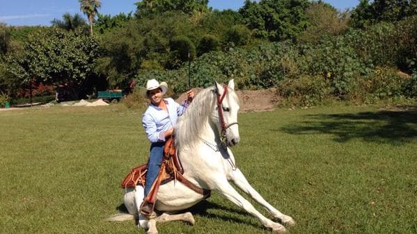 Y si quieres saber algunos de sus datos más curiosos, ¡aquí te los decimos!