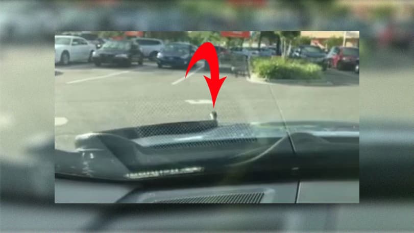 Hombre de Florida pasa tremendo susto cuando serpiente de 6 pies sale del capó de su auto