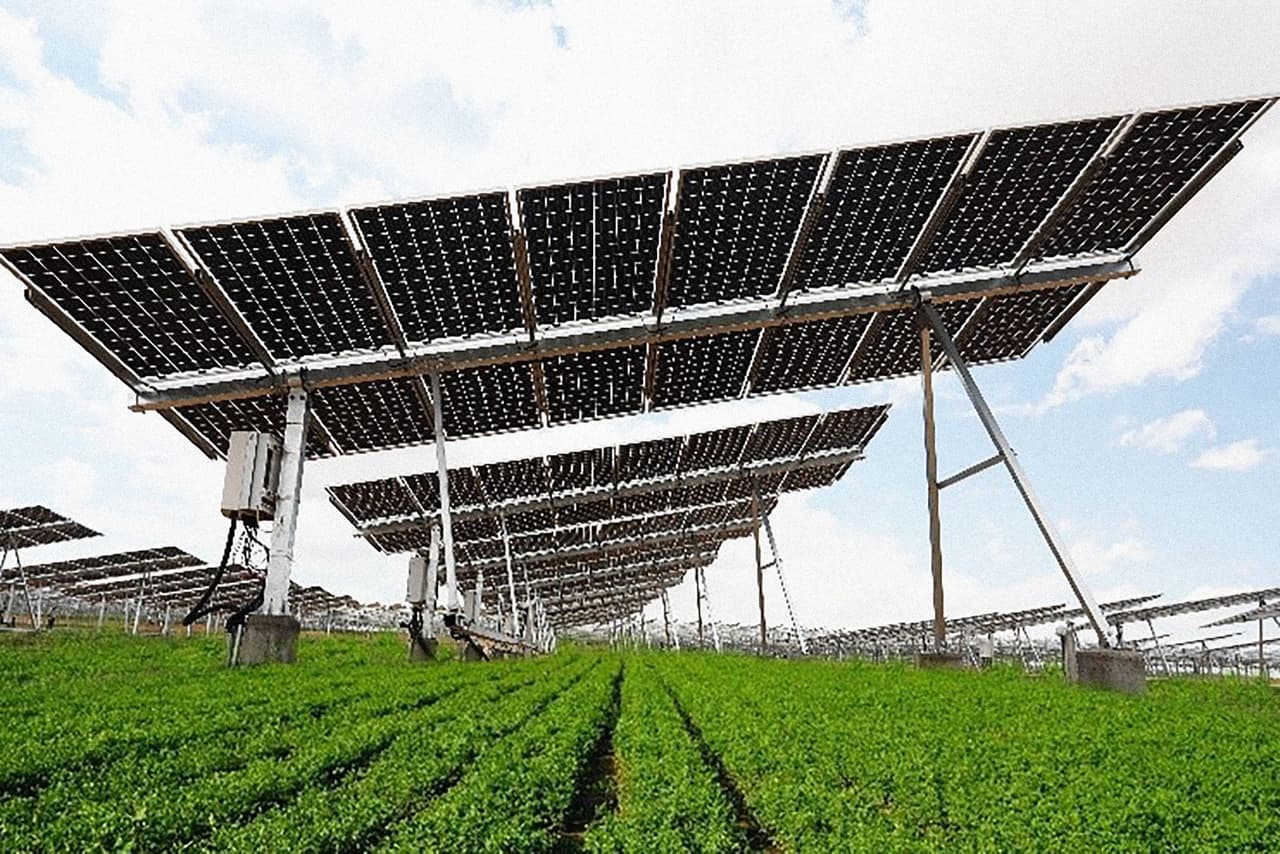 <b>Puesto 8. LONGi Green Energy Technology.</b> Esta empresa china es el mayor productor de celdas solares de silicio del mundo. Se benefició del aumento de la cantidad de instalaciones de energía solar en los últimos meses en China, que busca cumplir sus compromisos por el cambio climático. Su valor en el mercado aumentó 296% en 2020.