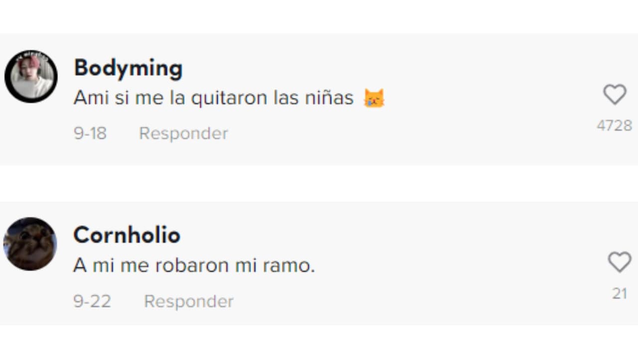 Comentarios en el video viral de TikTok