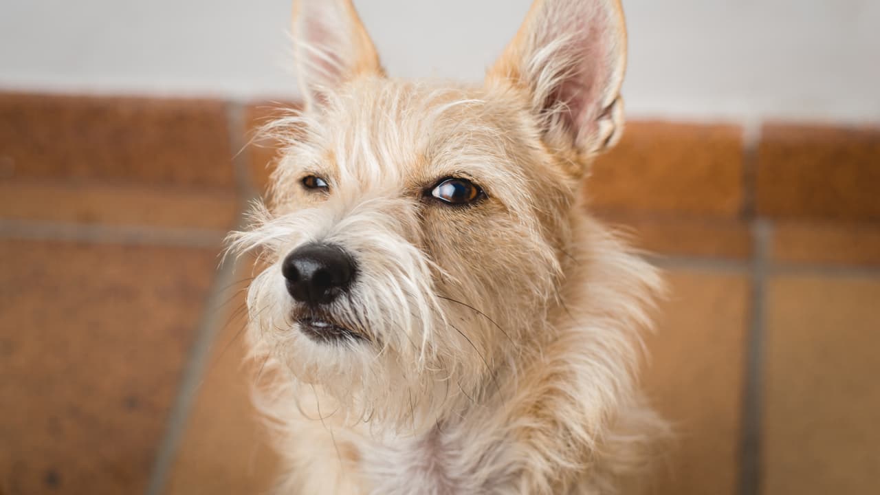 Todos te observan cuando llegas temprano a alguna cita, lugar u oficina.