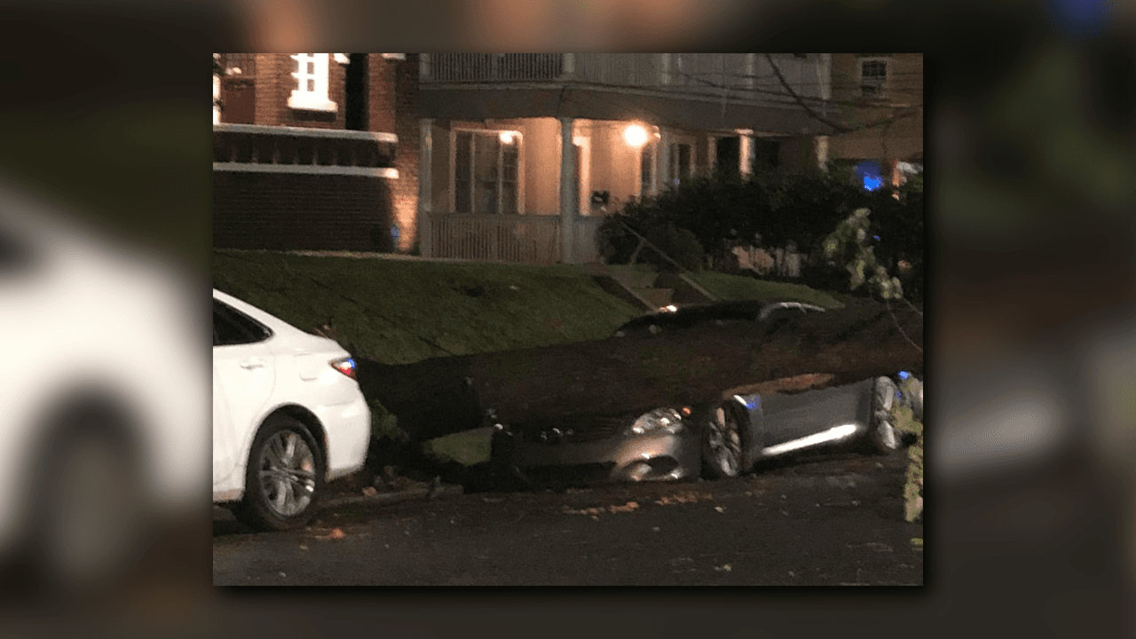 Los fuertes vientos derribaron árboles y tendidos eléctricos.