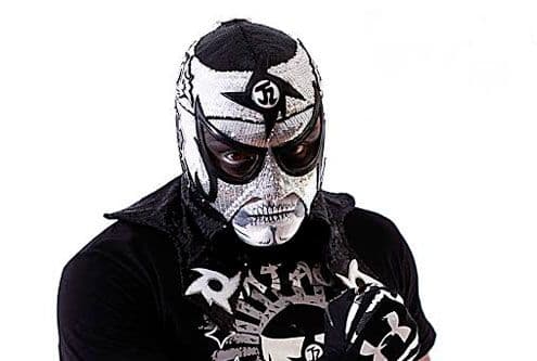 Con el pasar del tiempo fue recuperando sus cualidades, pero jamás volvió a competir en el ring.