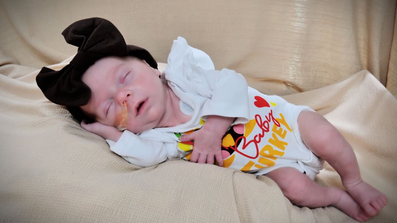 Esta iniciativa no es nueva para Texas Health, ya que han creado
<b><a href="https://www.univision.com/local/dallas-kuvn/pascua-texas-health-bebes-fotos" target="_blank">una conmovedora tradición al vestir a los bebés de la UCIN con disfraces temáticos</a></b> para diversos eventos especiales. En esta ocasión, las enfermeras se unieron para vestir a estos pequeños guerreros con trajes de pavo, desatando sonrisas y
<b>generando momentos memorables para las familias que atraviesan momentos difíciles</b>.