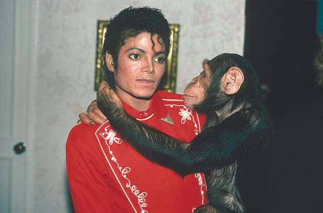 <b>Michael Jackson</b> vivió por muchos años en compañía de un chimpancé al que llamó ‘Bubbles'.
