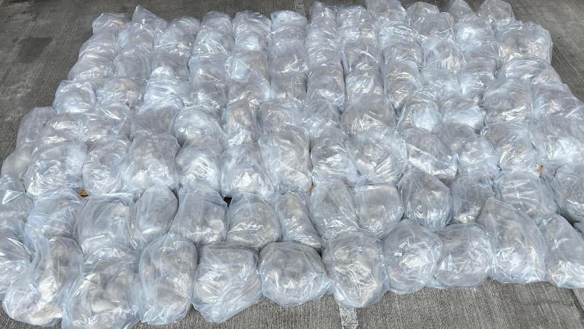 Imagen proporcionada por la Autoridad de Aduanas e Impuestos Especiales de Hong Kong en la que se observa las conchas donde venía oculta 1.1 toneladas de metanfetamina proveniente de México.