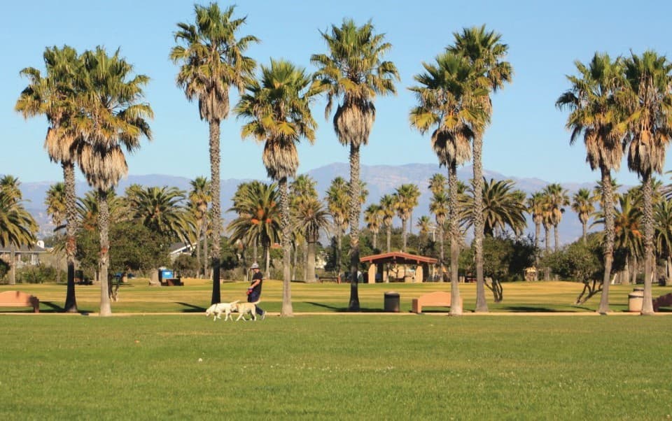 <b>Oxnard </b>es la ciudad de California más segura para manejar en el estado de California, logrando el lugar 55 de 200. Si bien no es la número uno, sí es la ciudad con los mejores conductores en todo el estado dorado.