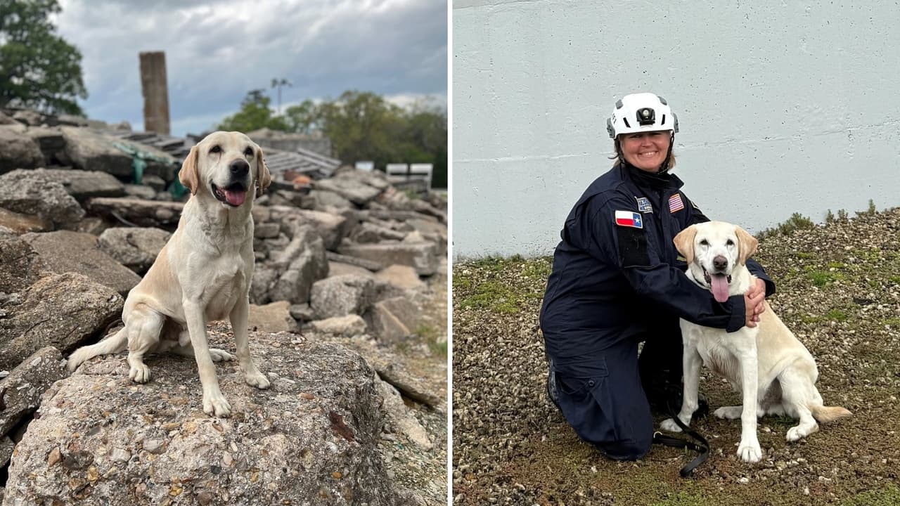 Perro rescatista de Camp Mystic y niña que murió en las inundaciones reciben premios nacionales
