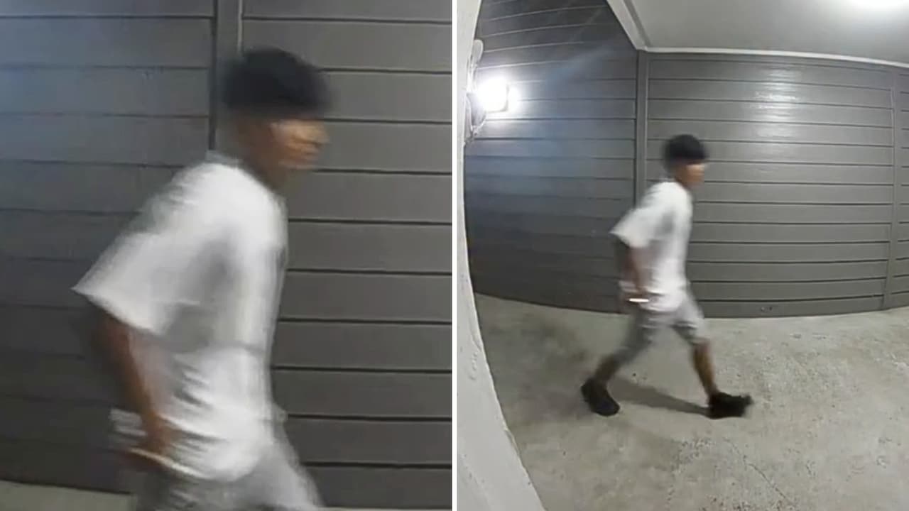 Intentó robarle el bolso, pero la víctima respondió con gas pimienta en Fort Worth