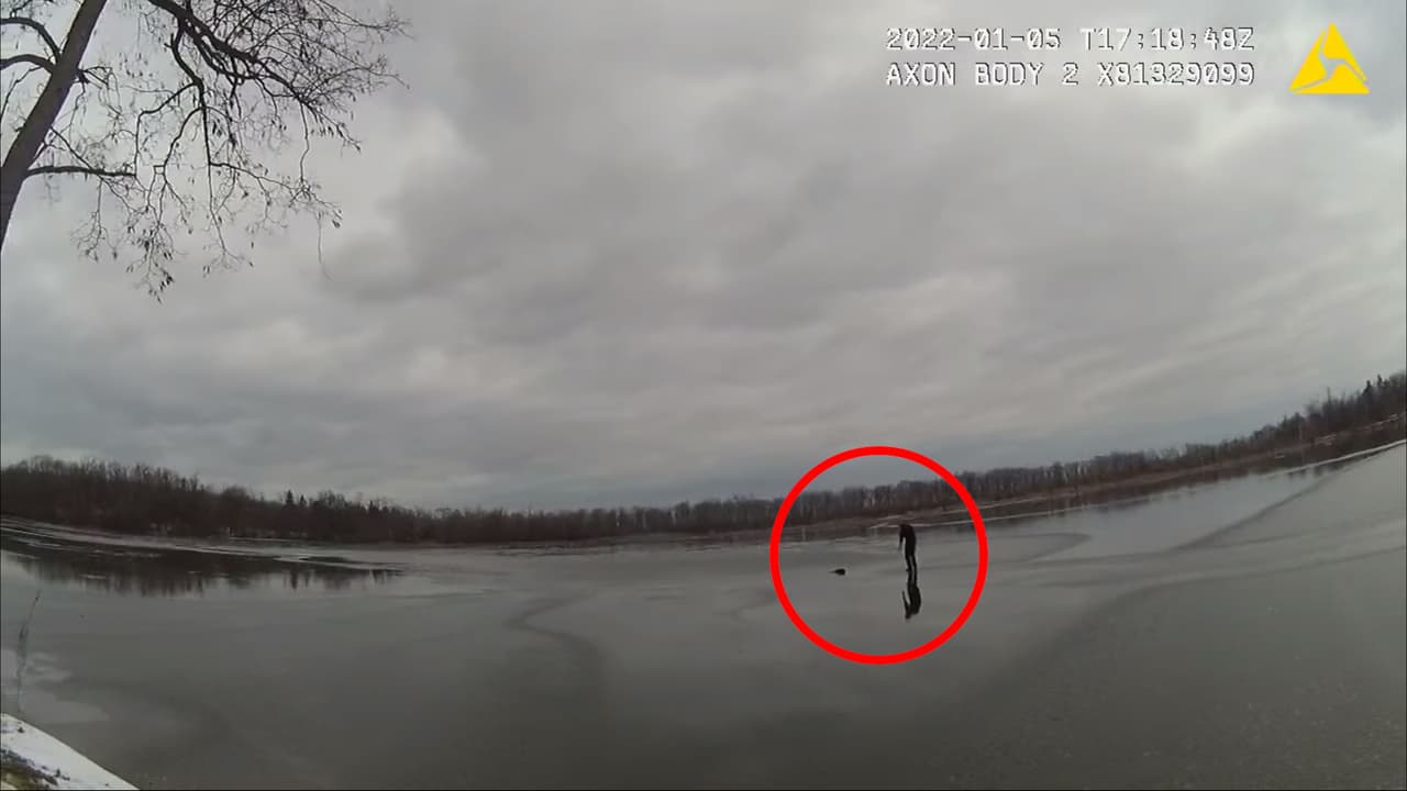 Un policía salva a un perro que cae a un lago congelado tras romperse el hielo