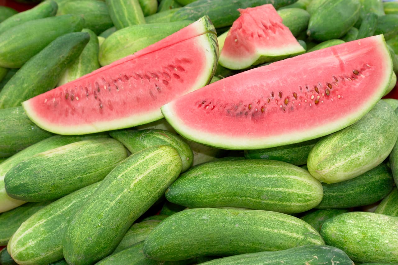 El poder de hidratación de algunos alimentos es tal que, por ejemplo, consumir sandía después de un entrenamiento intenso, sería una buena forma de rehidratar el cuerpo, según un estudio de la Universidad de Aberdeen, mencionado por el portal One Green Planet.