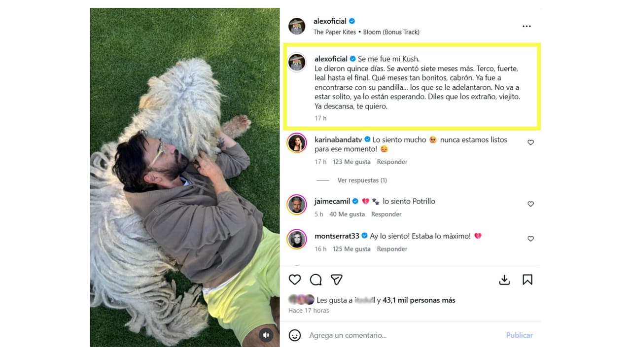 Así se despidió Alejandro Fernández de su mascota.