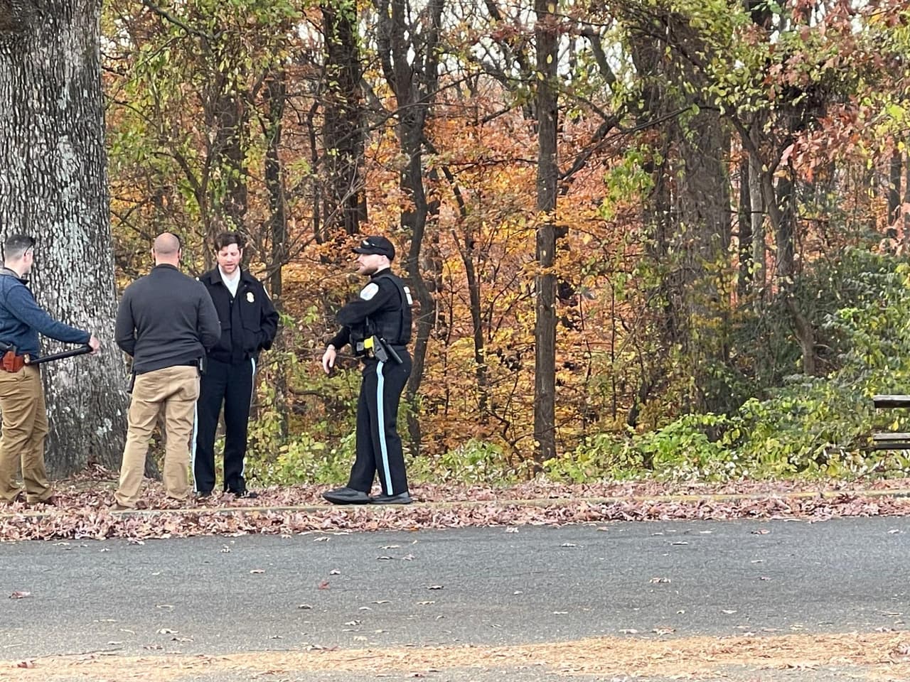 La tarde de este miércoles fue hallado el cuerpo de un hombre en una zona boscosa en el noroeste de Washington DC, un hecho que está bajo investigación de las autoridades del Distrito y de Parques.