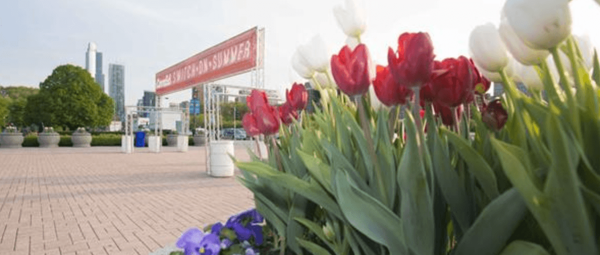 Por primera vez en más de un año, un ganador de un concurso de ComEd revivirá una vez más la Fuente de Buckingham con solo tocar un interruptor, lo que traerá de vuelta la antigua tradición de Chicago. Para obtener detalles sobre el evento y el concurso, visite
<a href="http://www.comed.com/SwitchOnSummer">www.ComEd.com/SwitchOnSummer</a>.