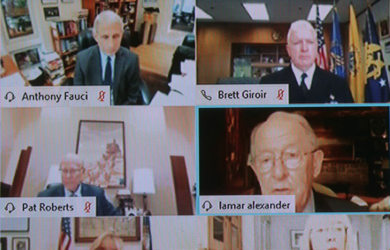 La audiencia virtual en el comité de Salud del Senado.