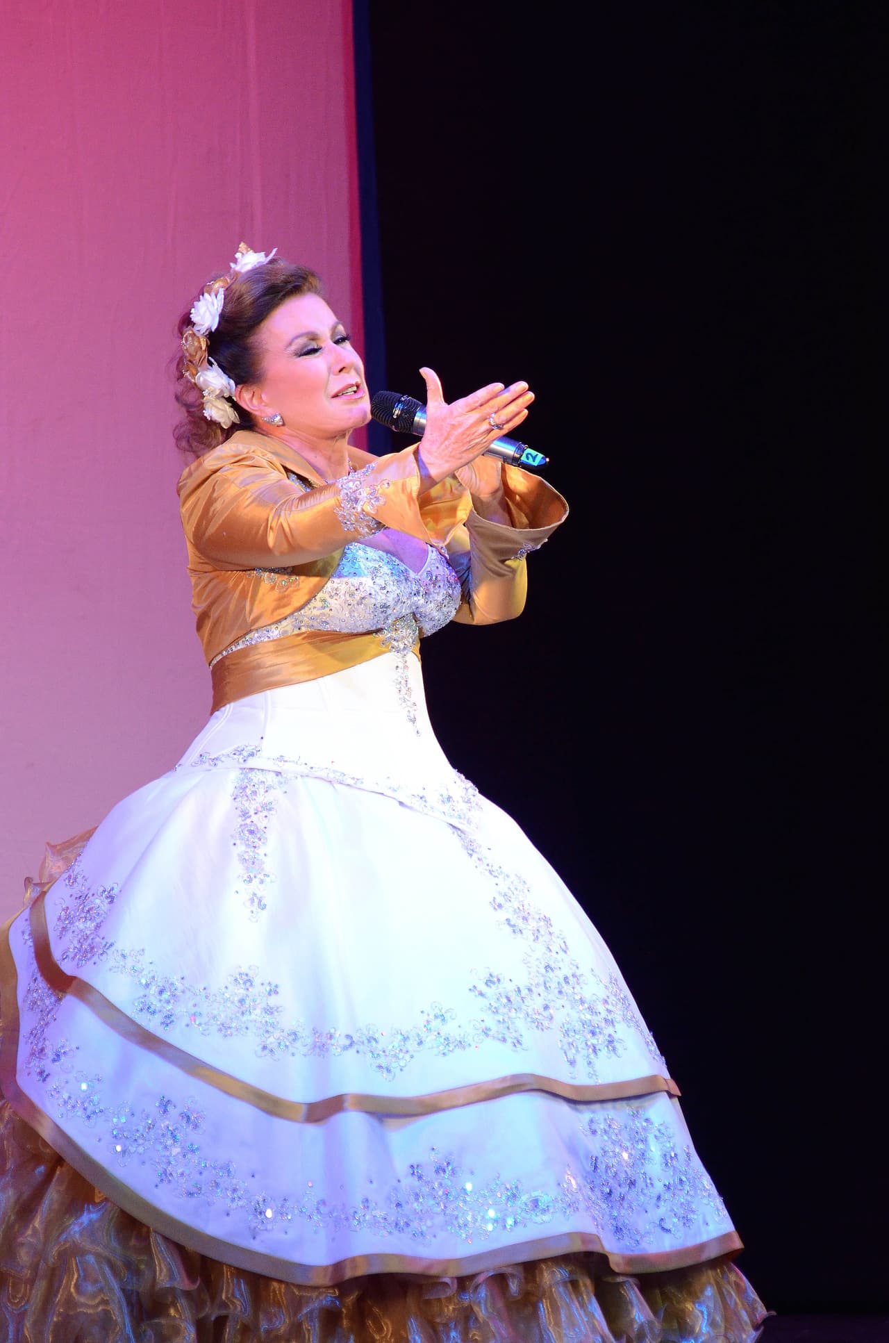 En años recientes Laura Zapata ha podido disfrutar de su faceta como cantante con diversos proyectos musicales, pues antes estaba enfocada a la actuación.