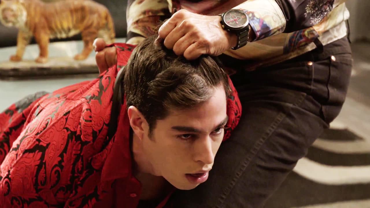 Su ambición lo llevó a aceptar lavar dinero para el crimen organizado a través de la empresa 'Furia productions'.