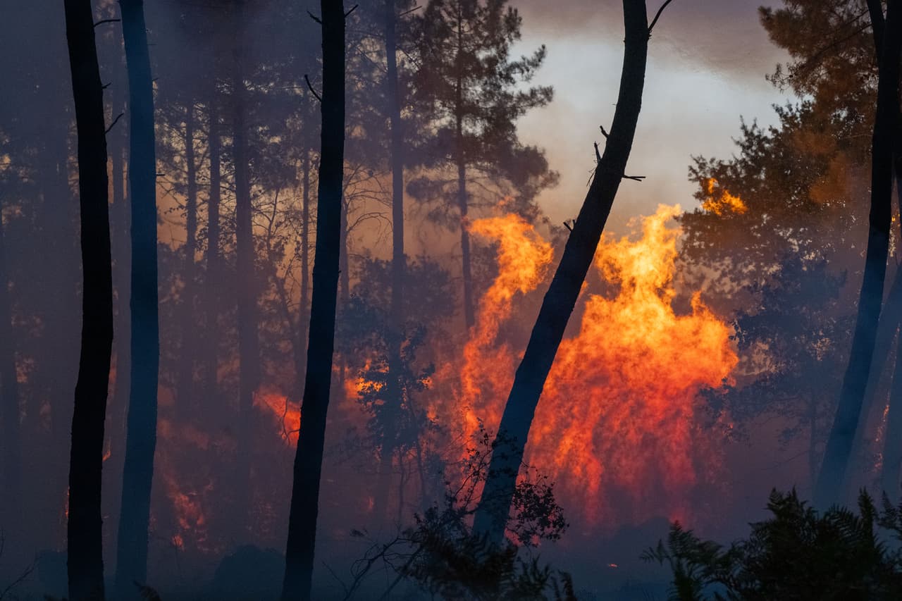 El fuego invade los bosques la región de La Porge, en Francia.