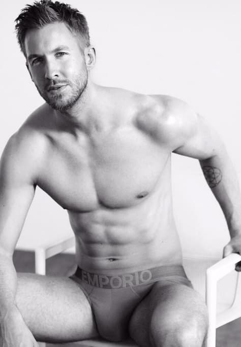 Con cuatro discos de estudio, Calvin ha logrado ser reconocido en entregas de premios como los MTV o los Billboard Music Awards.