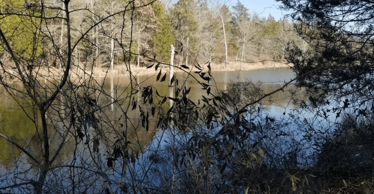 <br>En este lugar de 355 acres,
<a href="https://www.univision.com/local/dallas-kuvn/purtis-creek-un-parque-ideal-para-nadar-y-acampar-al-sureste-de-dallas-video">puedes explorar los senderos y realizar múltiples actividades al aire libre.</a>
<br>