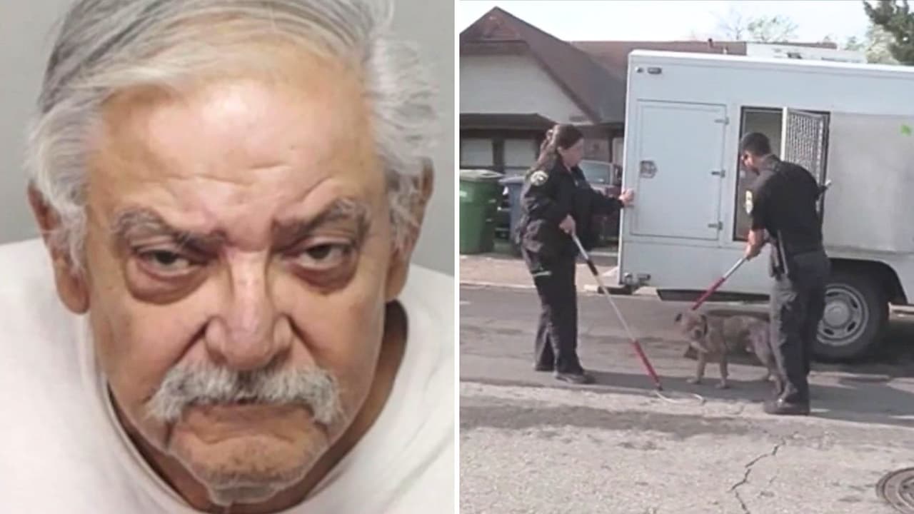 Un hombre de la tercera edad es arrestado tras hallar múltiples mascotas sin vida en su vivienda