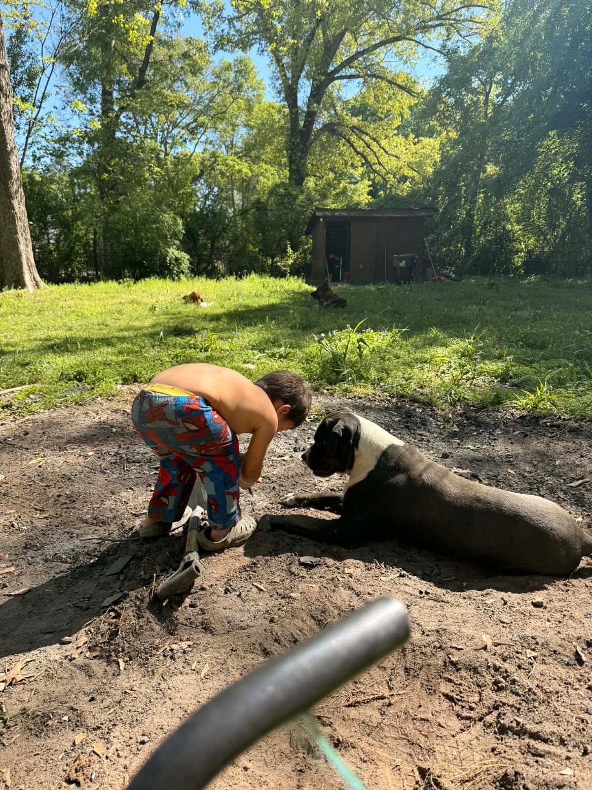 La familia llevaba casi 5 años viviendo en el condado de Clyton, en Georgia.