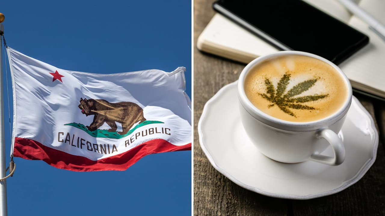 Cafeterías de cannabis en California al estilo Ámsterdam: A una firma de ser realidad