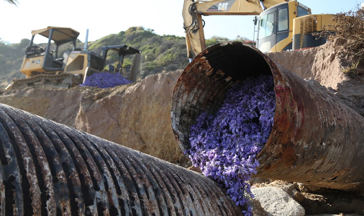 Fábrica de flores, una nueva obra artística en Los Ángeles