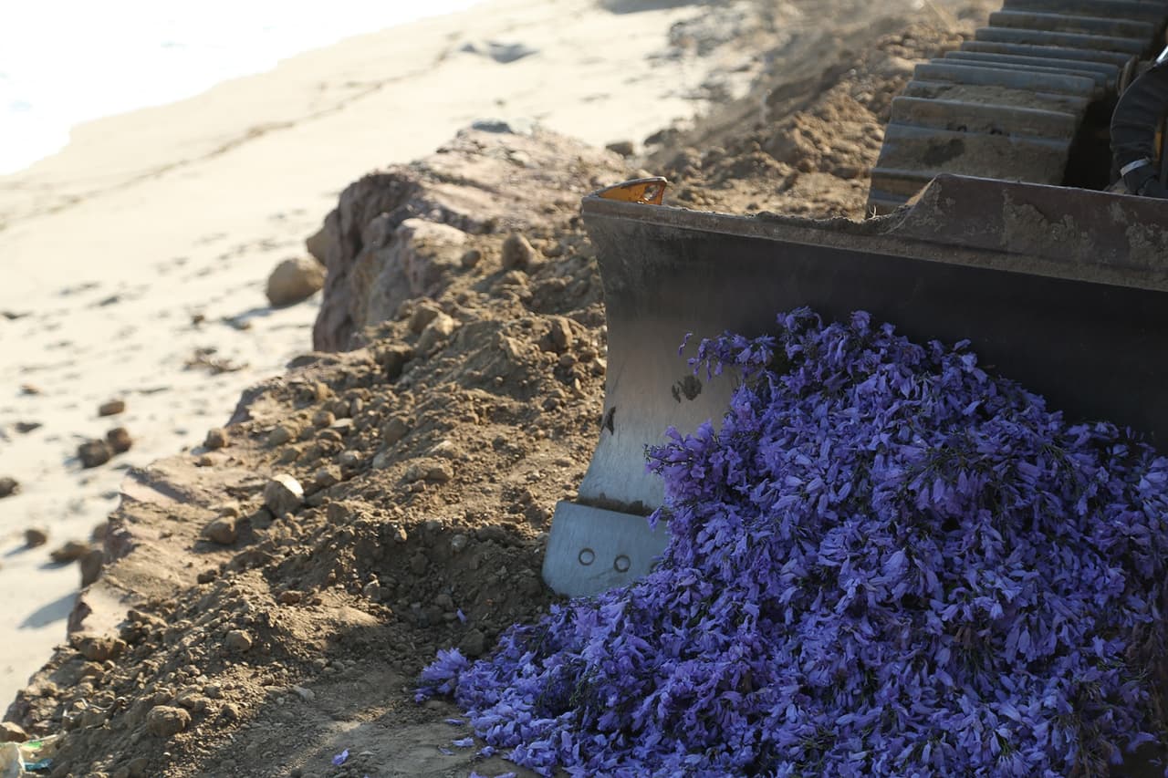 Preparativos la obra "Petal Drop LA" en una zona industrial de Los Ángeles