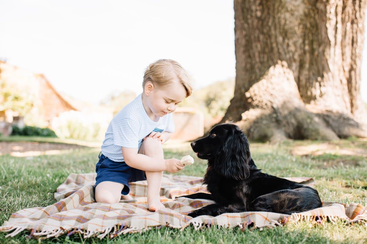 Aquí vemos a George jugando con su mascota. Las fotos fueron tomadas en el hogar de la familia en Norfolk.