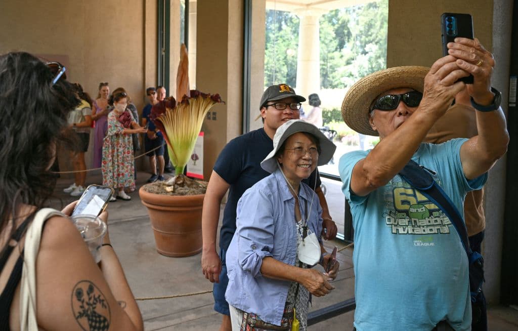 Otras personas inmortalizaron su momento con la flor cadáver, guardando distancia.