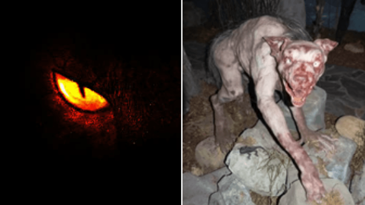 El Chupacabras: la misteriosa leyenda urbana que aterrorizó a los mexicanos en los años 90