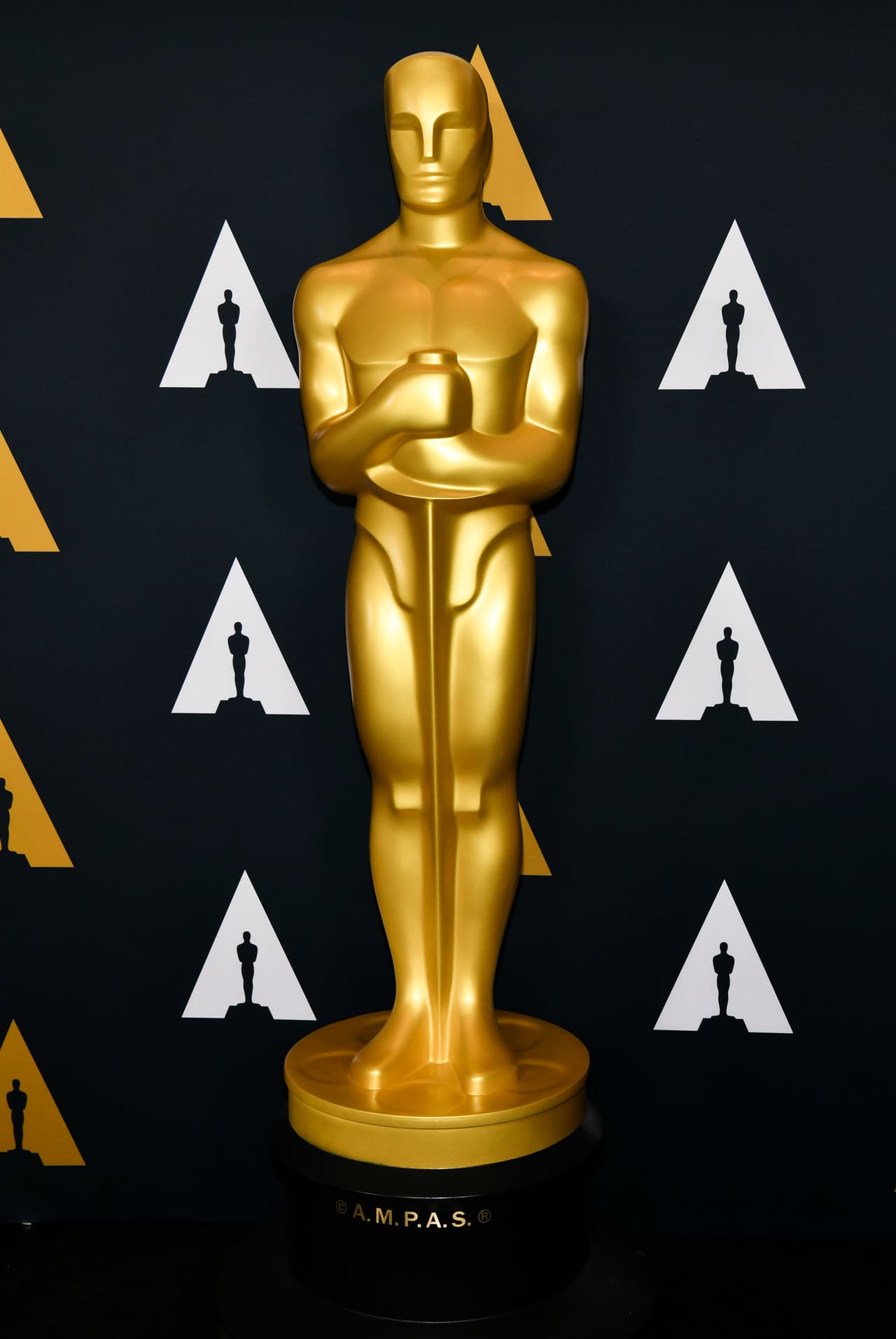 Directores de cine, actores, actrices, guionistas, documentalistas, músicos, cinefotógrafos,
<b><a href="https://www.univision.com/famosos/pierde-a-sus-companeros-de-trabajo-la-primera-disenadora-mexicana-nominada-al-oscar-2020-video">diseñadores</a></b>, los nombres más importantes de la industria estarán ahí.