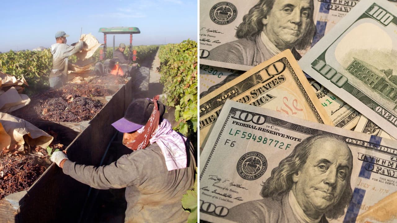 Ya puedes aplicar para el pago único de $600 para trabajadores; revisa si eres elegible