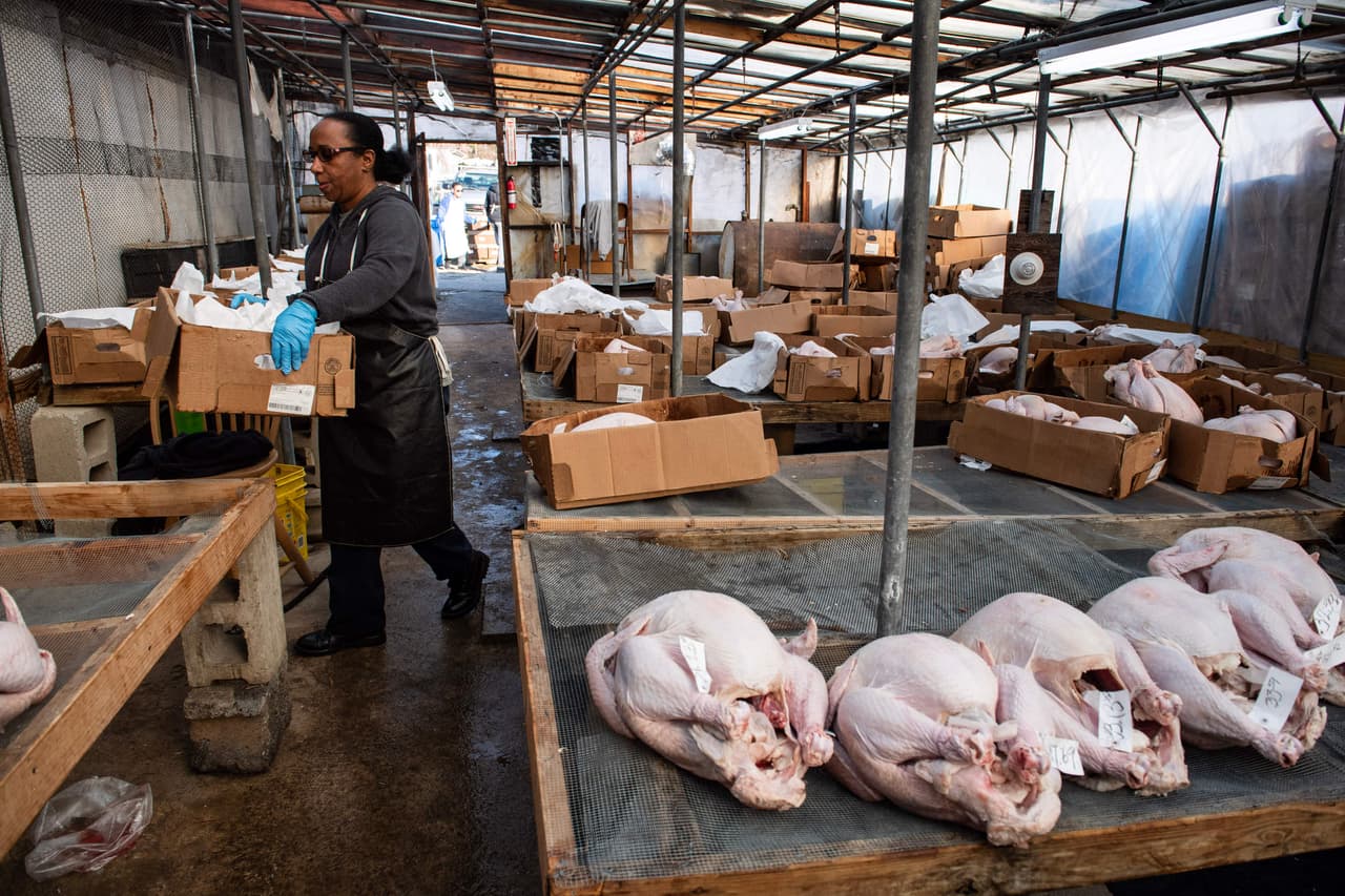 Luego que está descongelado, se recomienda lavarse las manos nuevamente, sazonar el pavo y nuevamente meterlo al refrigerador por 1 o dos horas.
<br>
