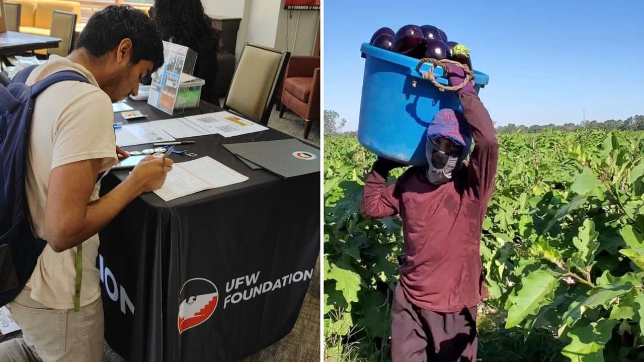 <h2 class="cms-H2-H2">Aún hay fondos. </h2>Pese a que algunas organizaciones en California han agotado los fondos para otorgar este alivio a los trabajadores,
<a href="https://www.univision.com/local/fresno-kftv/que-ha-pasado-con-el-pago-unico-de-600-para-trabajadores-california-fundacion-ufw-tiene-fondos">la Fundación UFW aún cuenta con el presupuesto disponible</a> para distribuir esta ayuda del Programa de Subvenciones para el Alivio de los Trabajadores de la Alimentación.