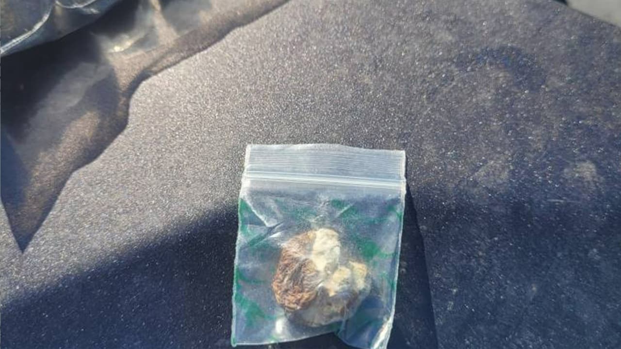 La Patrulla Fronteriza del Sector Tucson logró la detención de un presunto traficante de personas, luego de una parada de tránsito sobre la SR-90.