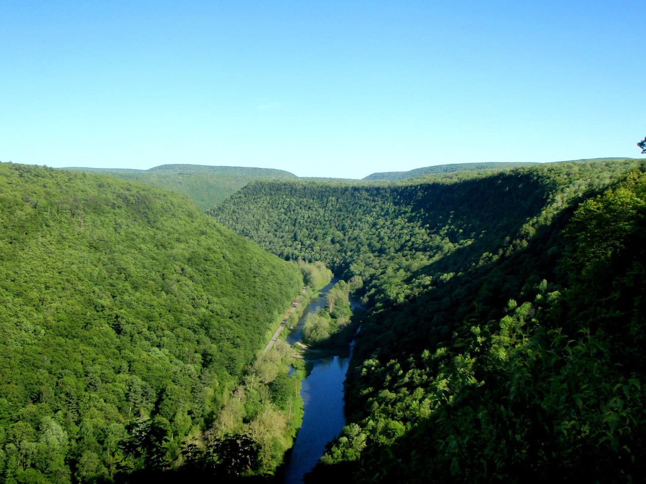 El camino a lo largo del borde oeste del desfiladero ofrece hermosos paisajes y una impresionante densidad de aves del norte de Pensilvania y otros animales salvajes.