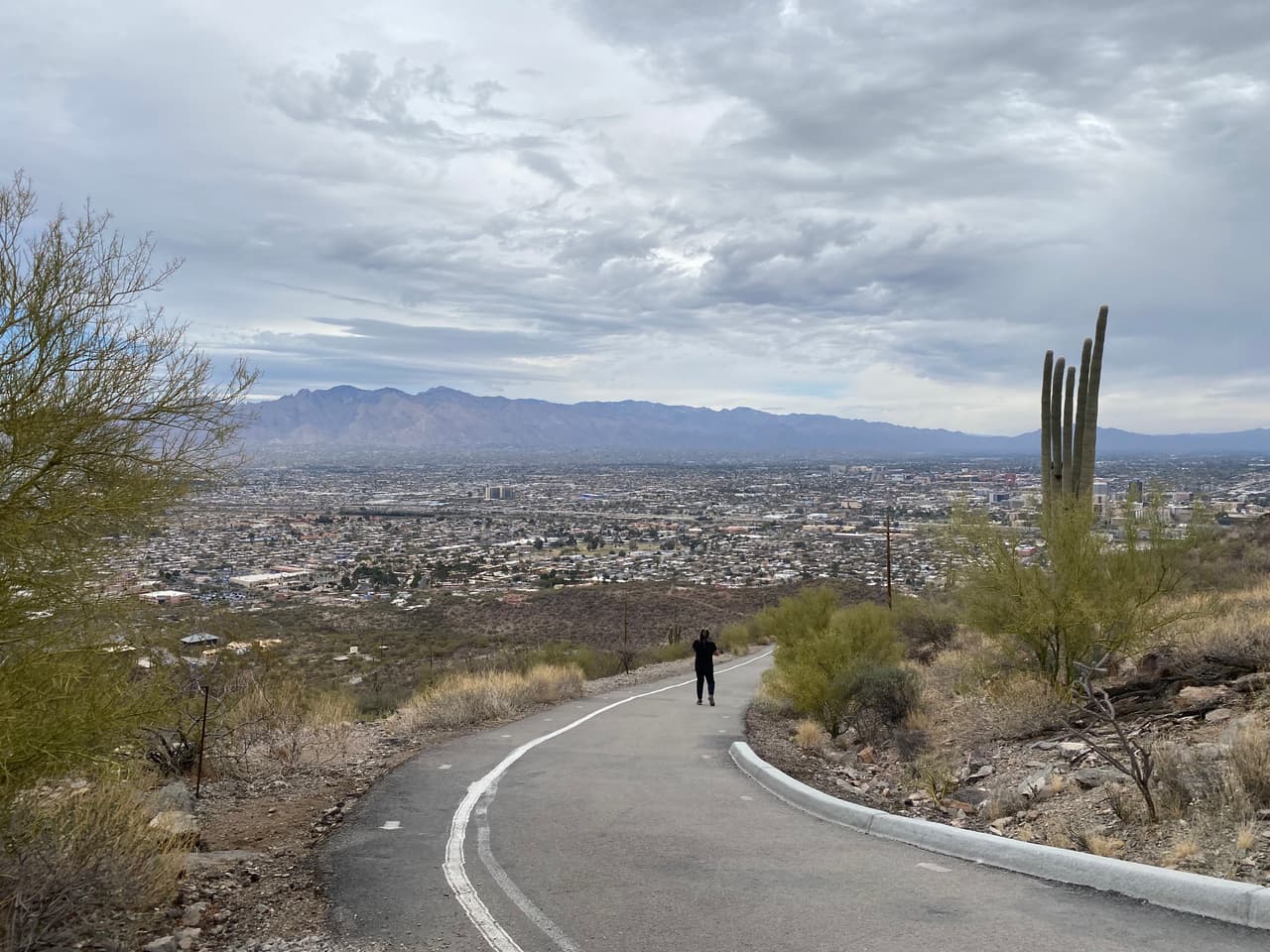 Subir la montaña es un paseo que hacen solos o en familia residentes y visitantes de Tucson.
