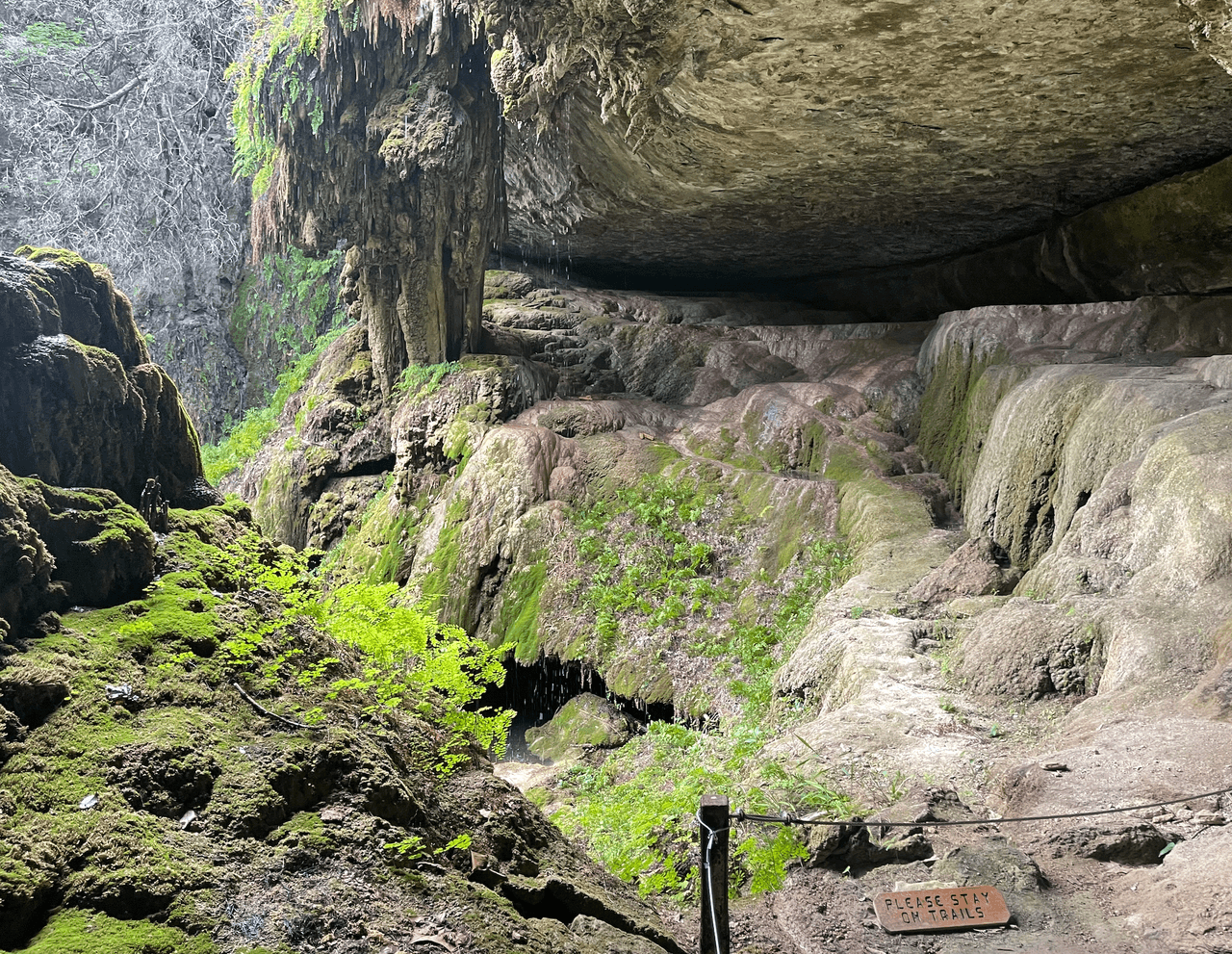 A finales del siglo XIX, la tierra funcionaba como finca agrícola para inmigrantes alemanes. Actualmente, la Autoridad del Bajo Río Colorado es dueña de la tierra.